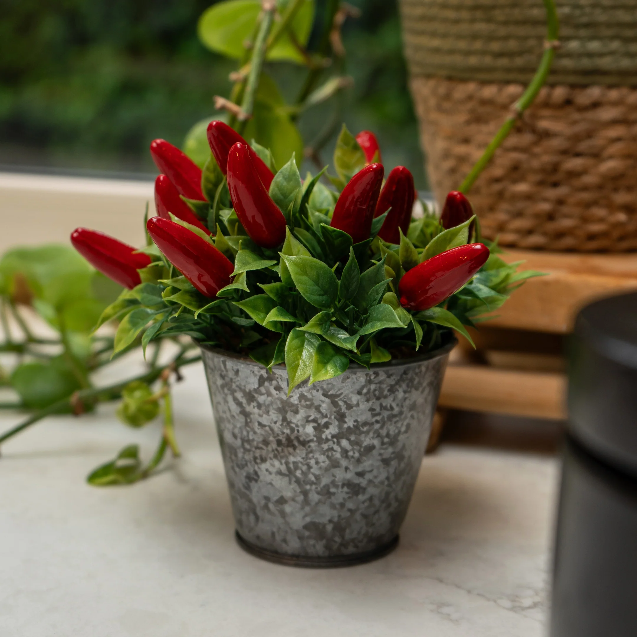 Artificial Chillies in Decorative Tin - 15cm - Image 2