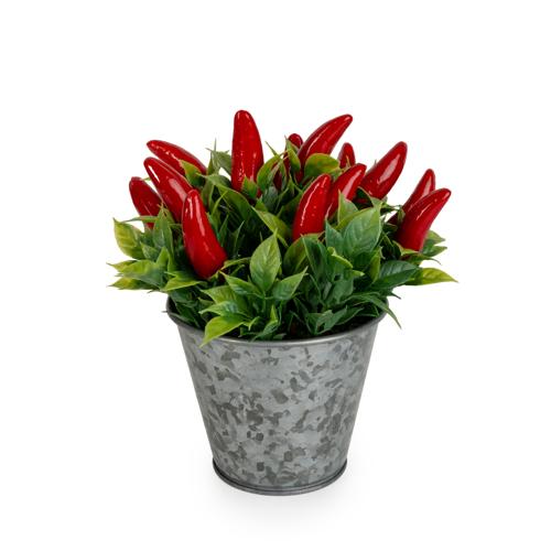 Artificial Chillies in Decorative Tin - 15cm - Image 4