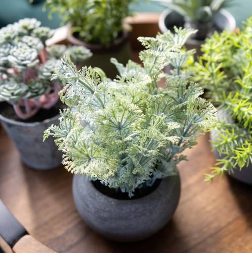 Artificial Dwarf Ambulia in Grey Pot - Image 3