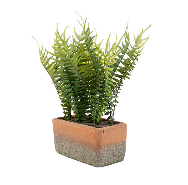 Lifelike Green Fern in Modern Cement Pot - Image 2
