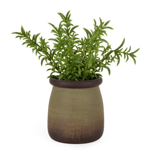 Artificial Sedum Lineare in Green Pot - Image 5