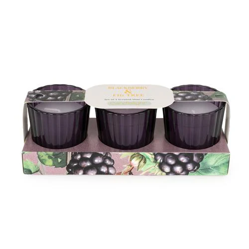 Blackberry & Fig Tree Votive Candle Set - Image 2
