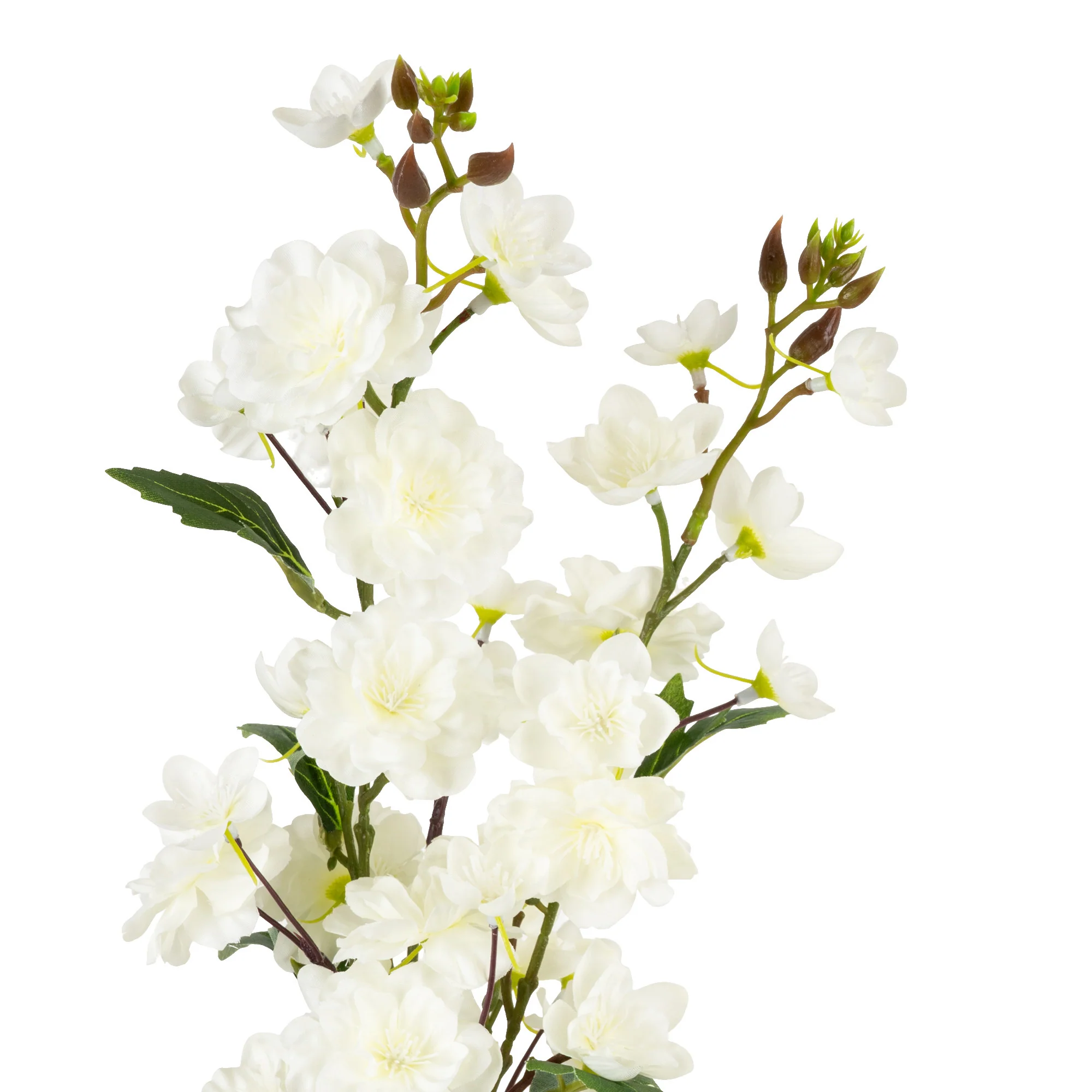 Blossom In Ceramic Bottle Vase - Image 5