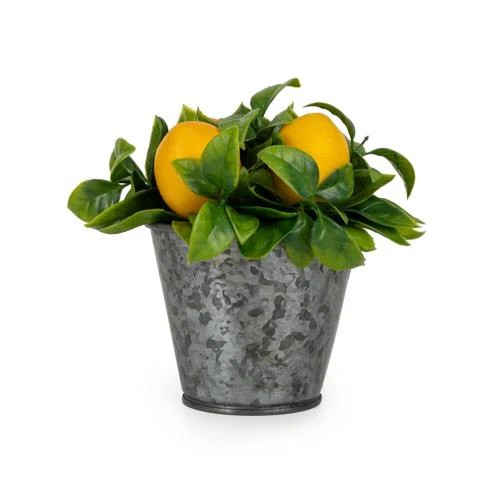 Decorative Lemons in a Tin - Image 3