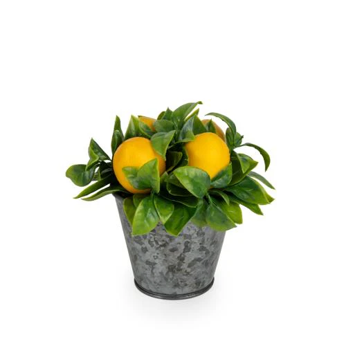 Decorative Lemons in a Tin - Image 4