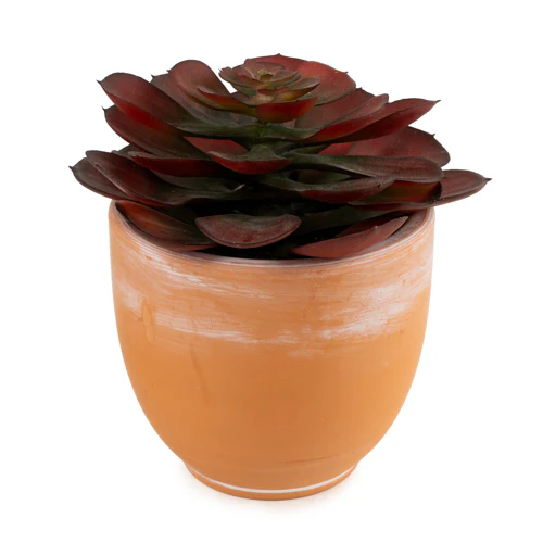 13cm Echeveria Succulent in Pot – Artificial Succulent Plant - Image 3
