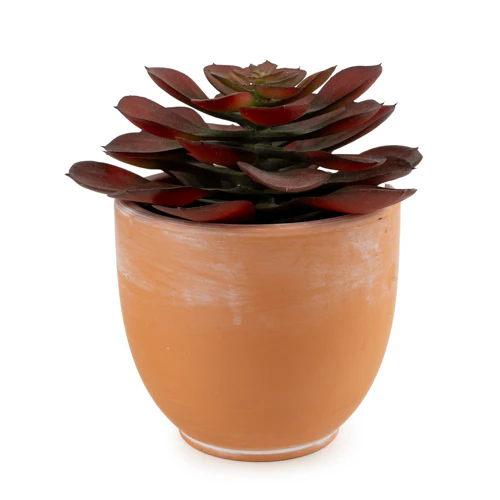 13cm Echeveria Succulent in Pot – Artificial Succulent Plant - Image 4
