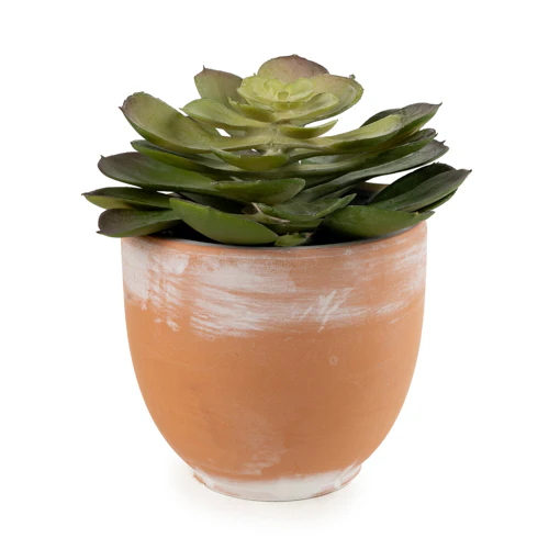 13cm Echeveria Succulent in Pot – Artificial Succulent Plant - Image 6
