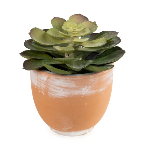 13cm Echeveria Succulent in Pot – Artificial Succulent Plant - Image 7