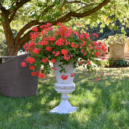 Extra Large Oxidised-Metal Effect Rustic Planter