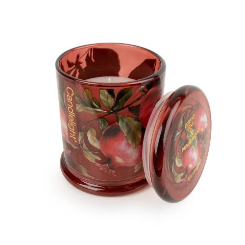 Forest Pine & Pomegranate Large One Wick Candle - Image 3