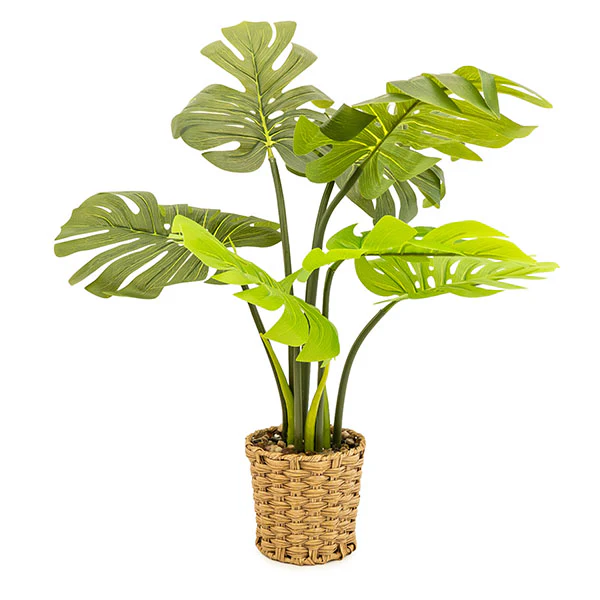 Lifelike Green Leaves in Elegant Beige Wicker Pot - Image 5