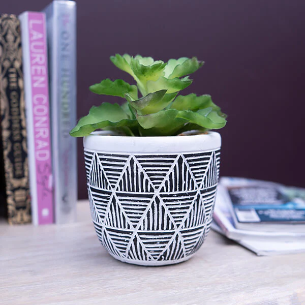 Chic Green Lifelike Succulent in Black and White Geometric Pot