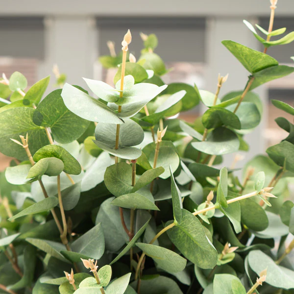 Lush Lifelike Green Eucalyptus Delight with Seven Heads - Image 2