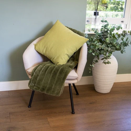 Green Square Cushion