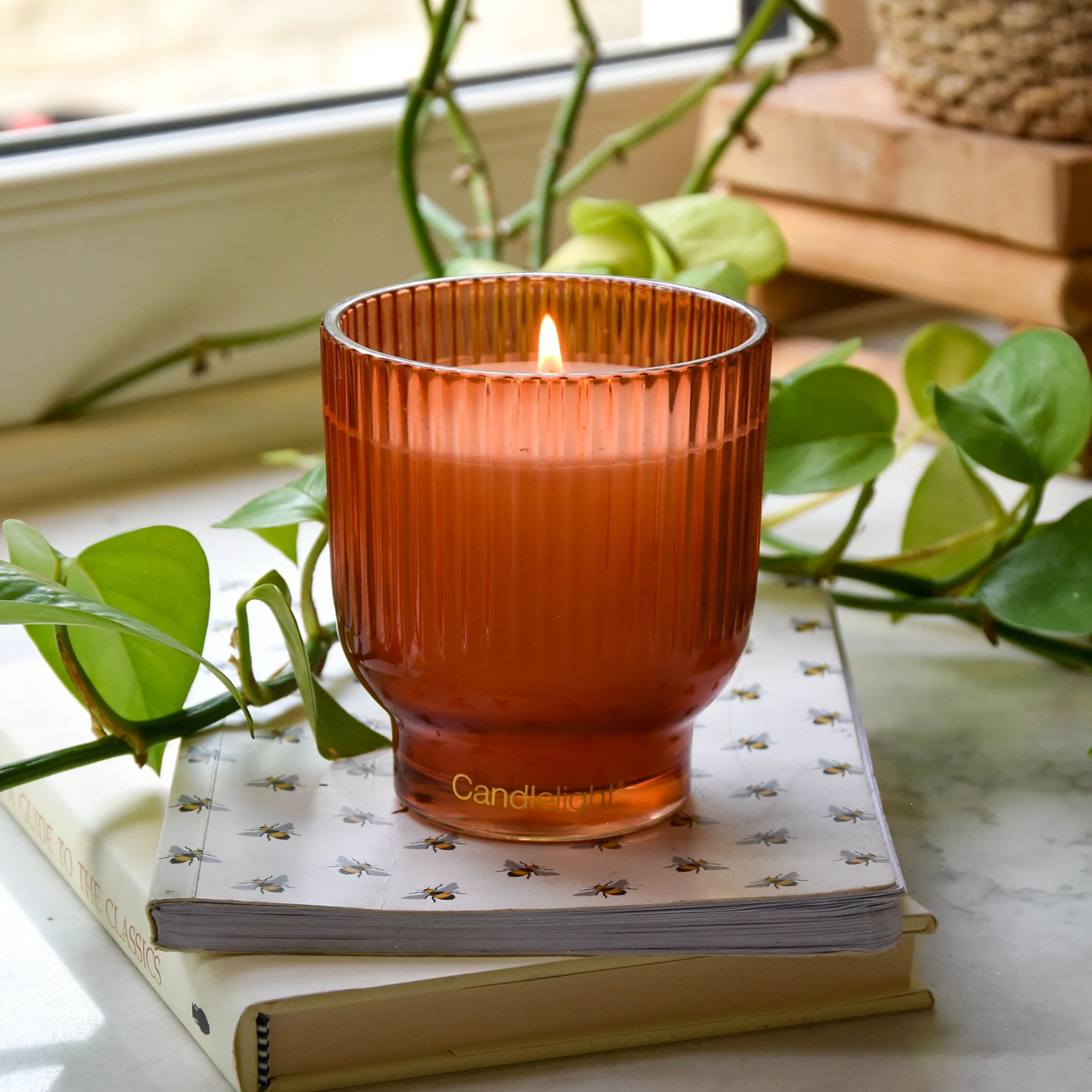 Mandarin & Orange Blossom Medium Footed Candle - Image 3