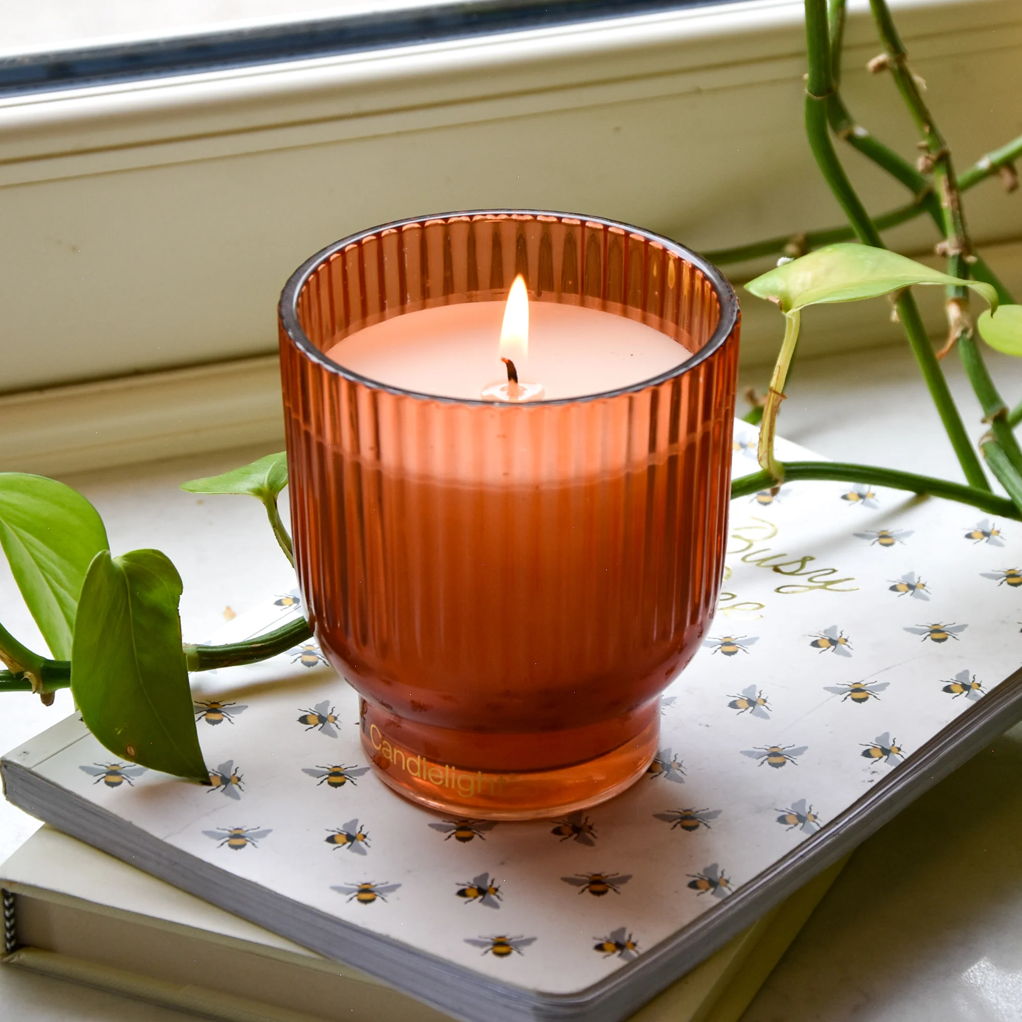 Mandarin & Orange Blossom Medium Footed Candle - Image 4