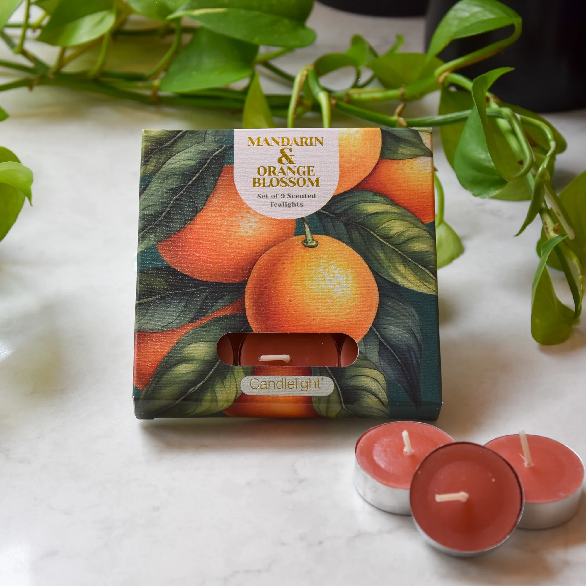 Mandarin & Orange Blossom Set of 9 Tealights - Image 2
