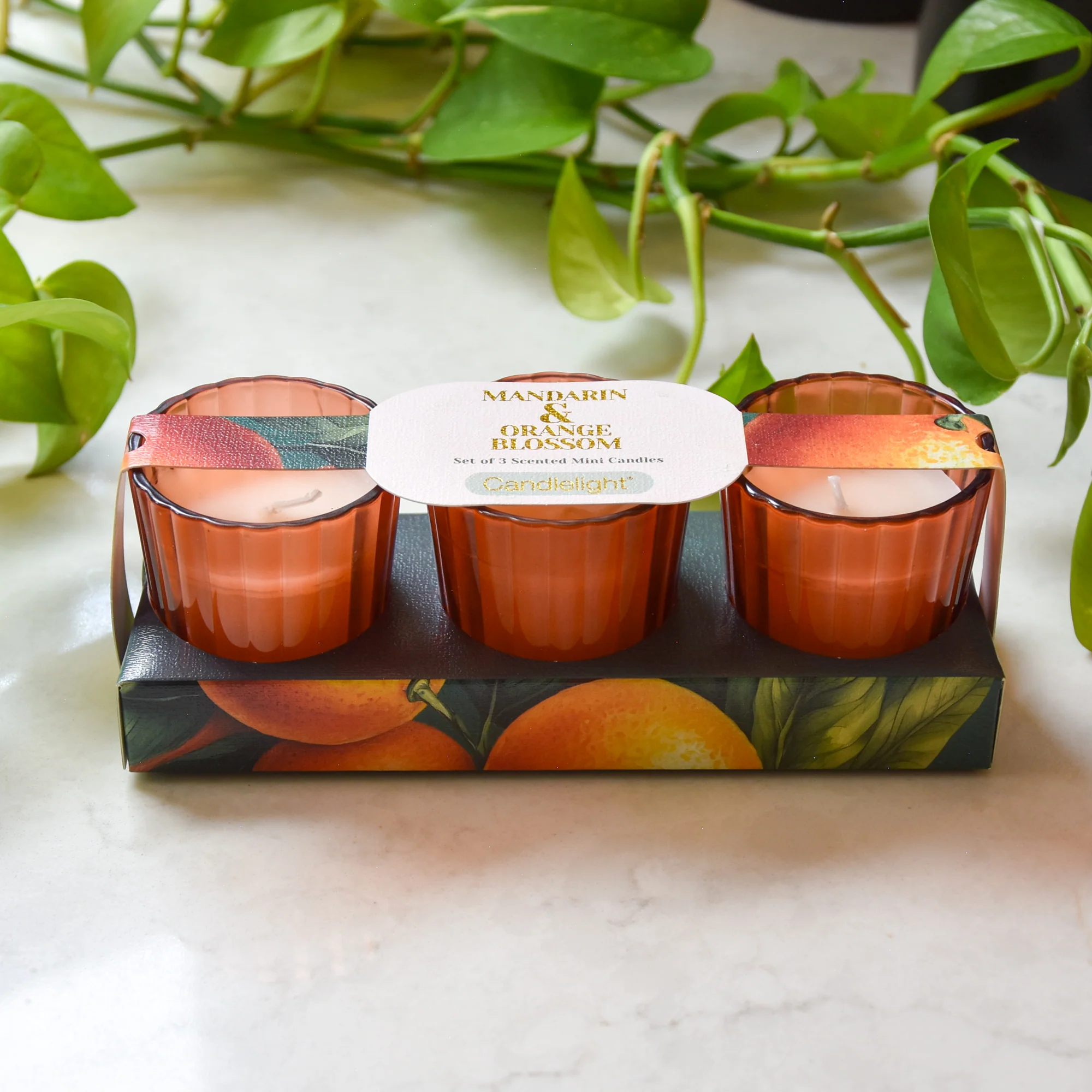 Mandarin & Orange Blossom Votive Candle Set