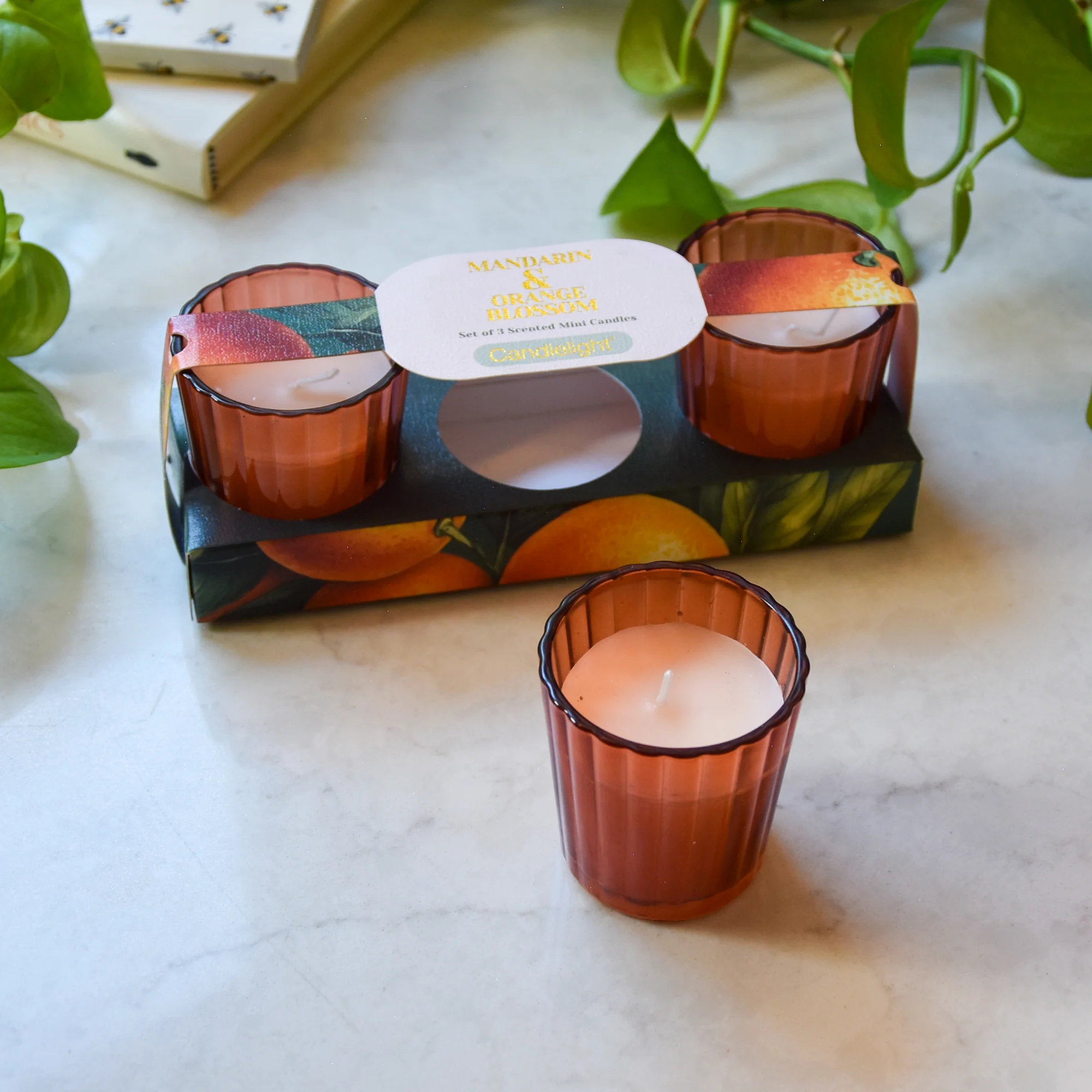 Mandarin & Orange Blossom Votive Candle Set - Image 2
