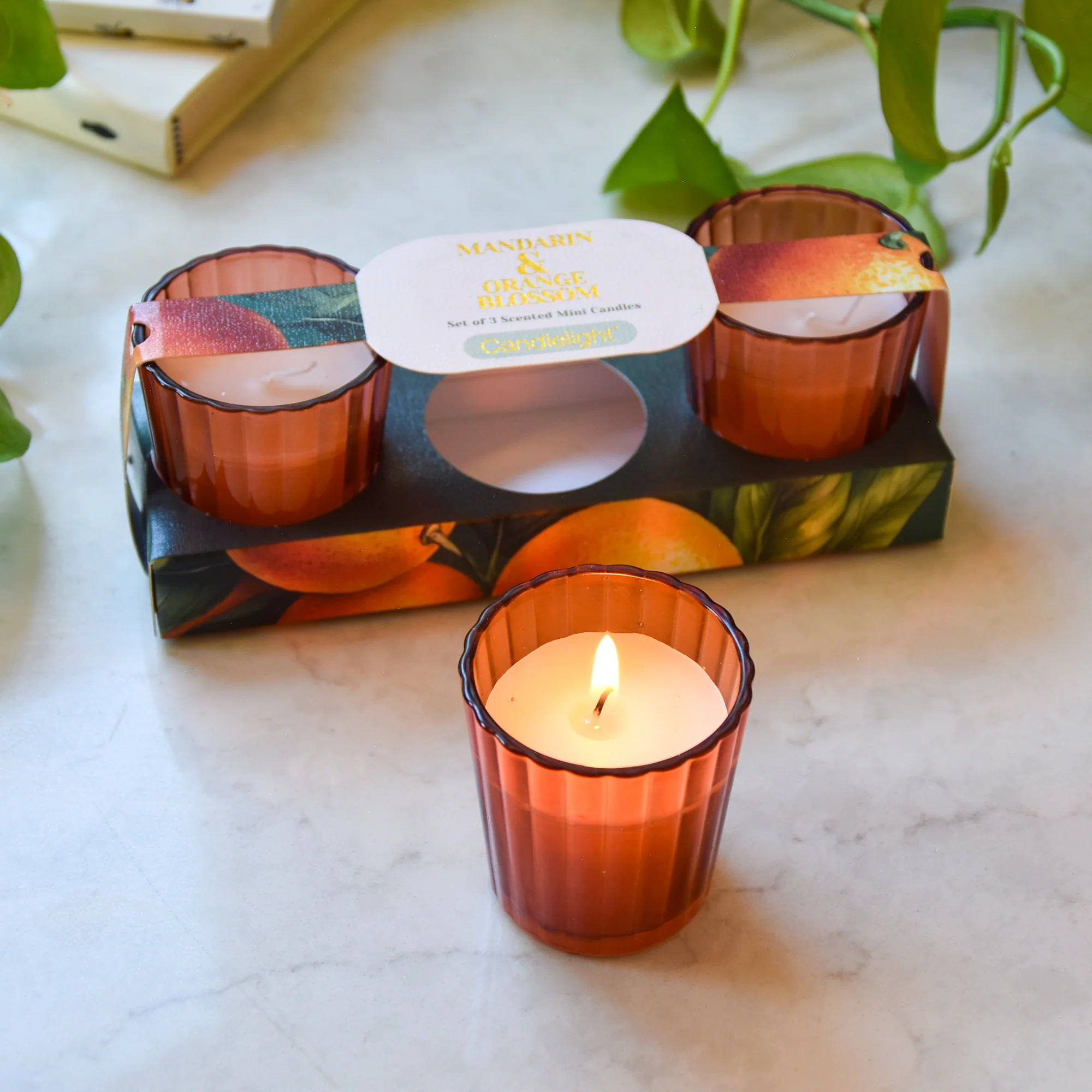 Mandarin & Orange Blossom Votive Candle Set - Image 3