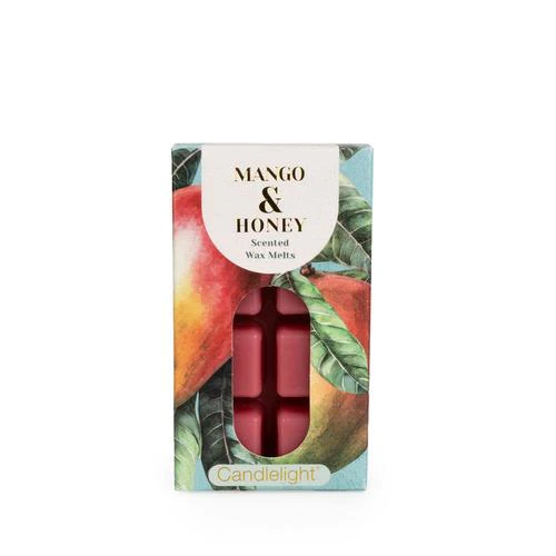 Mango & Honey Pack of 8 Wax Melts - Image 3
