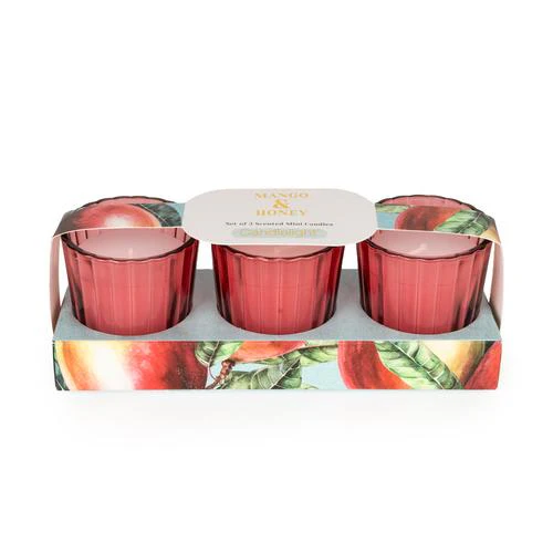 Mango & Honey Votive Candle Set - Image 2