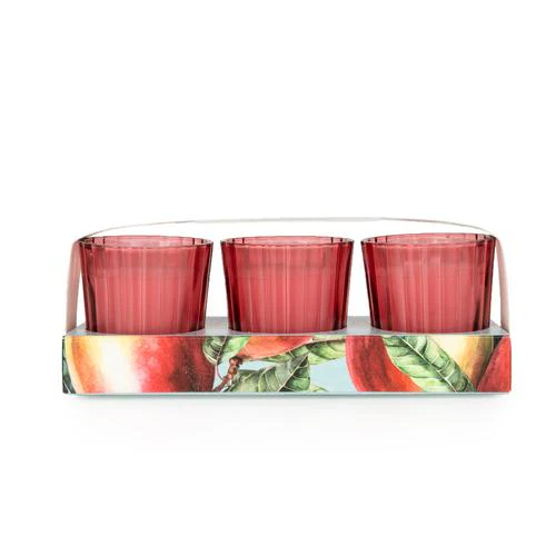 Mango & Honey Votive Candle Set - Image 3