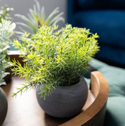 Mini Artificial Rosemary Herb in Grey Pot - Image 3