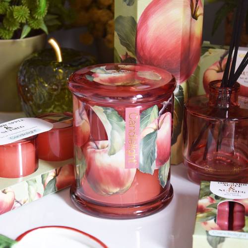 Orchard Apple & Nutmeg Large One Wick Candle