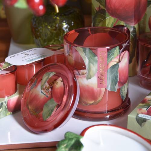 Orchard Apple & Nutmeg Large One Wick Candle - Image 2