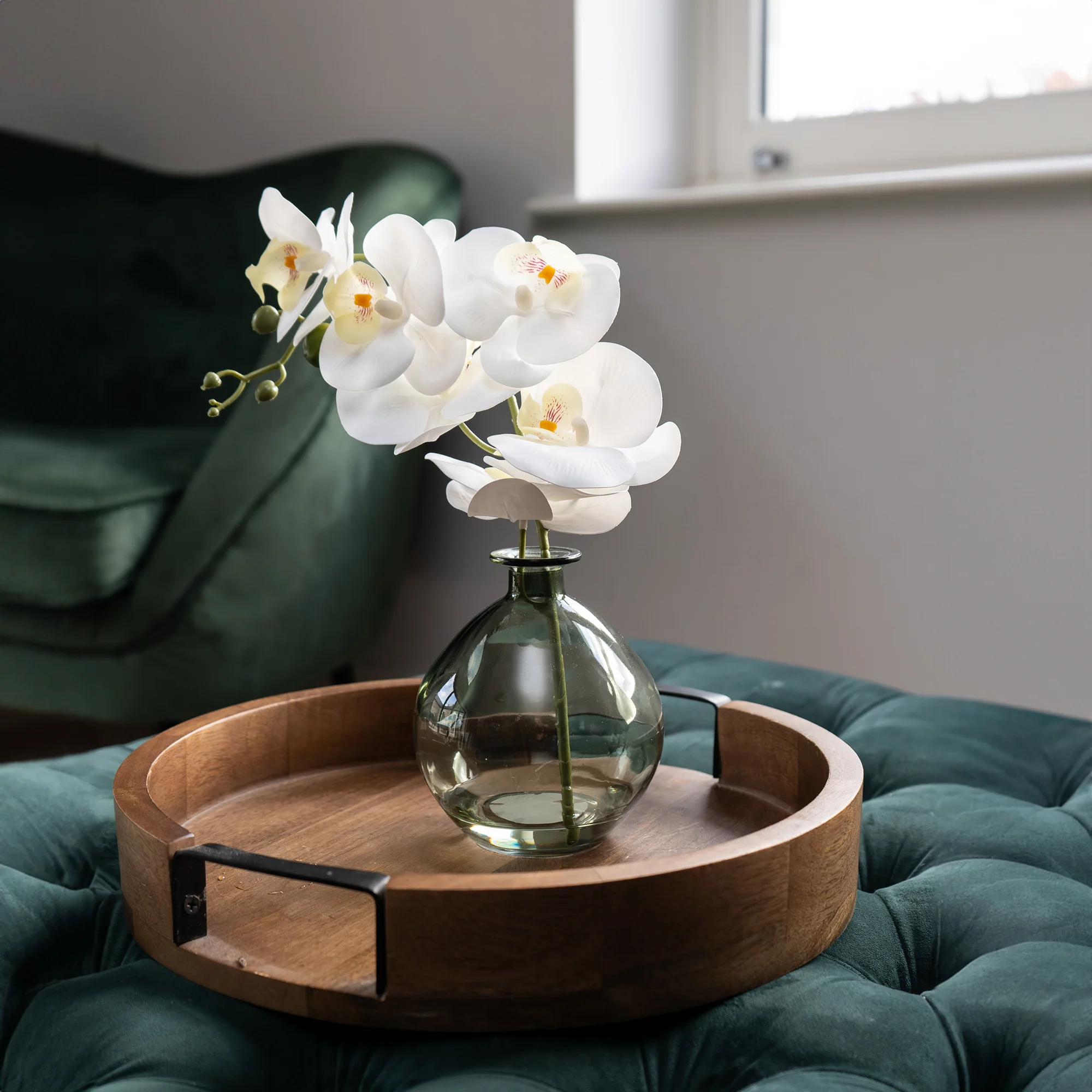 Orchid in Green Vase
