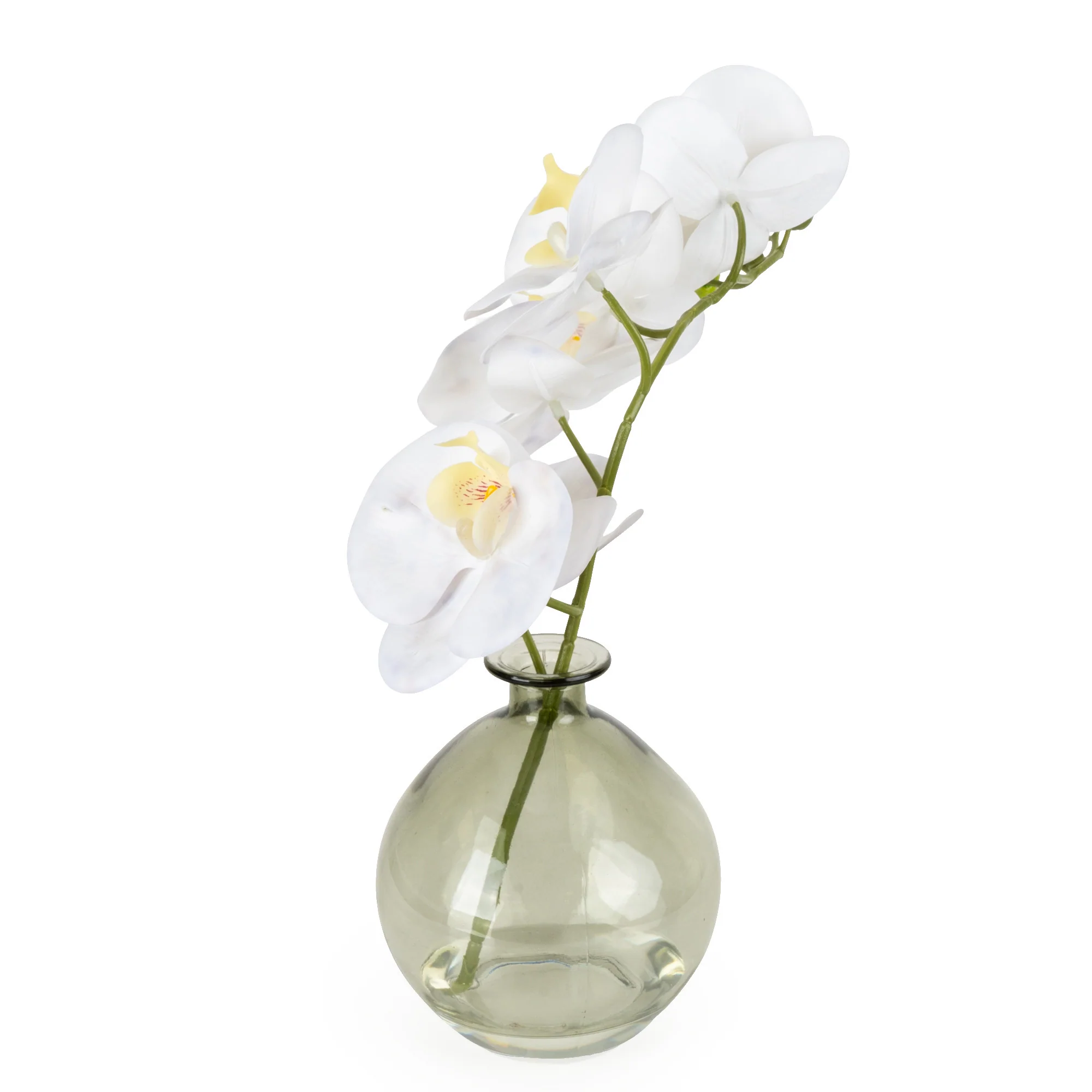 Orchid in Green Vase - Image 4