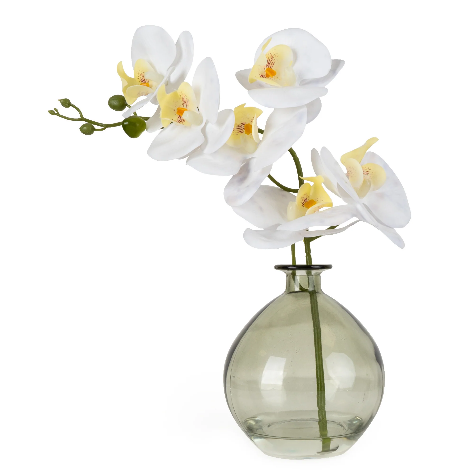 Orchid in Green Vase - Image 5