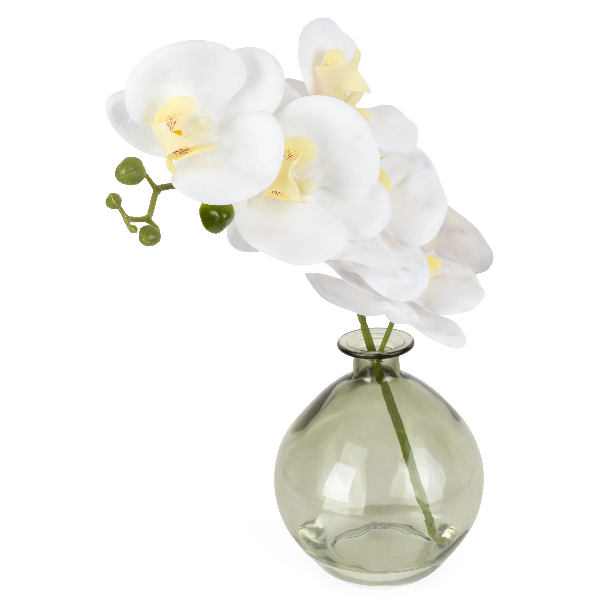 Orchid in Green Vase - Image 6