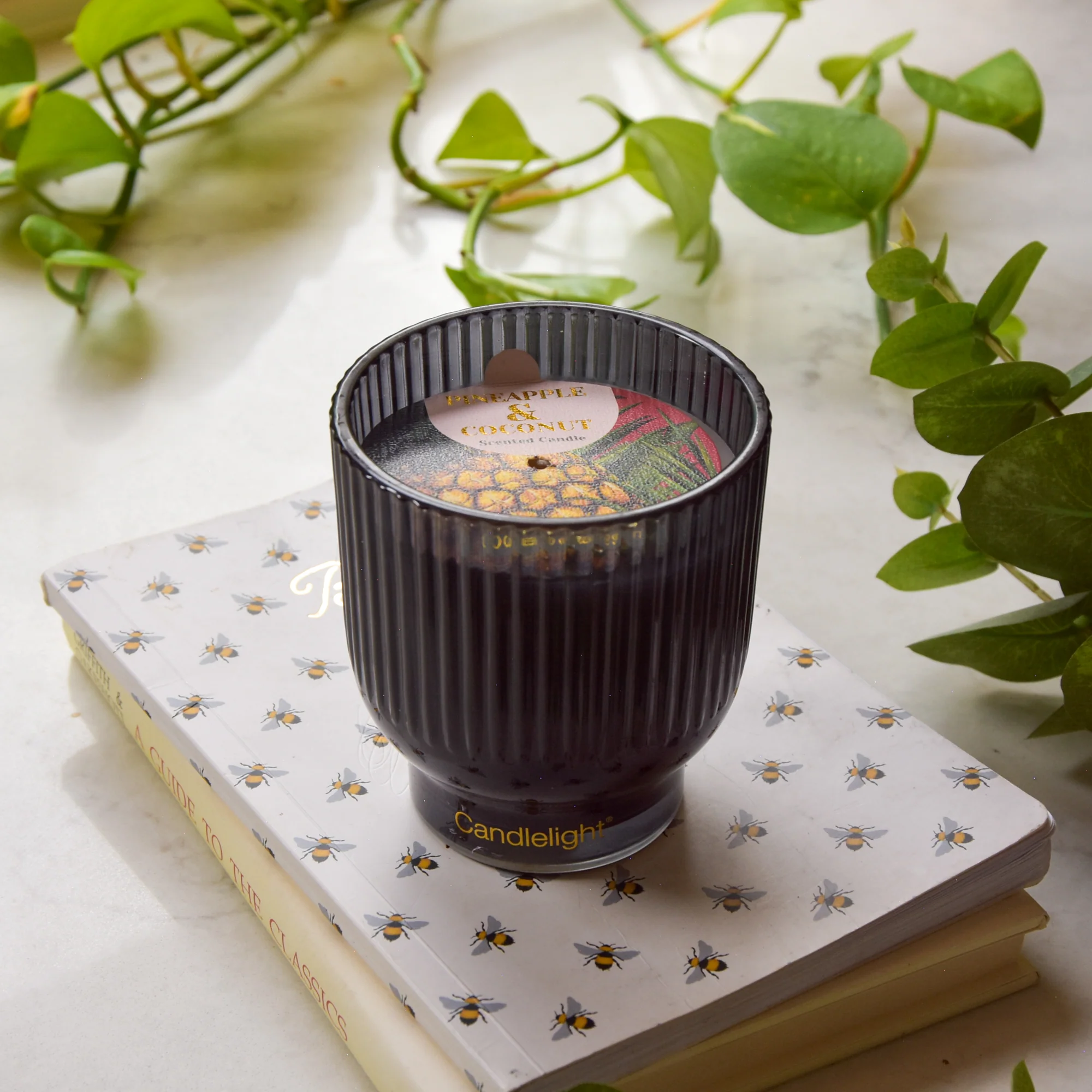 Pineapple & Coconut Medium Footed Candle - Image 2