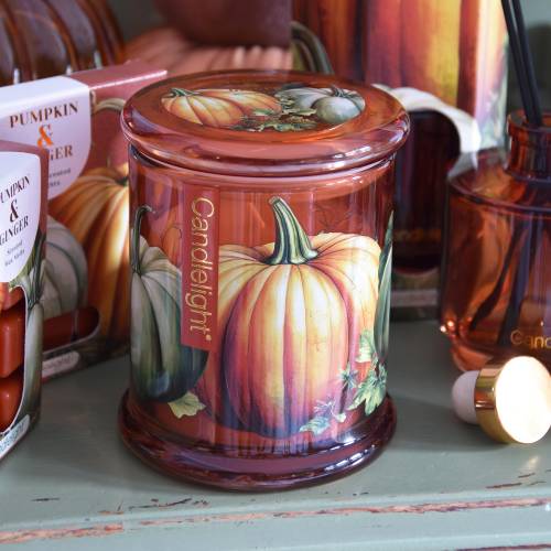 Pumpkin & Ginger Large One Wick Candle - Image 4