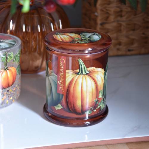 Pumpkin & Ginger Large One Wick Candle - Image 5