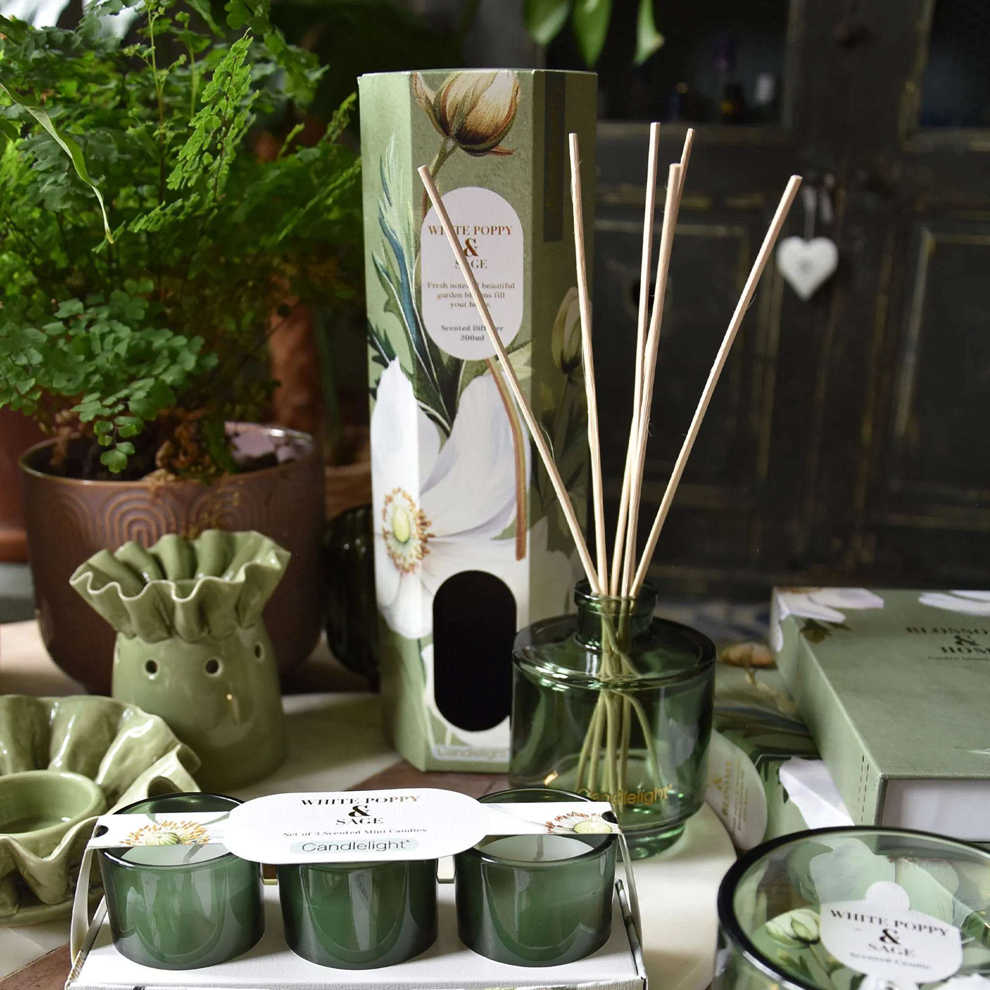White Poppy & Sage Reed Diffuser - Image 2