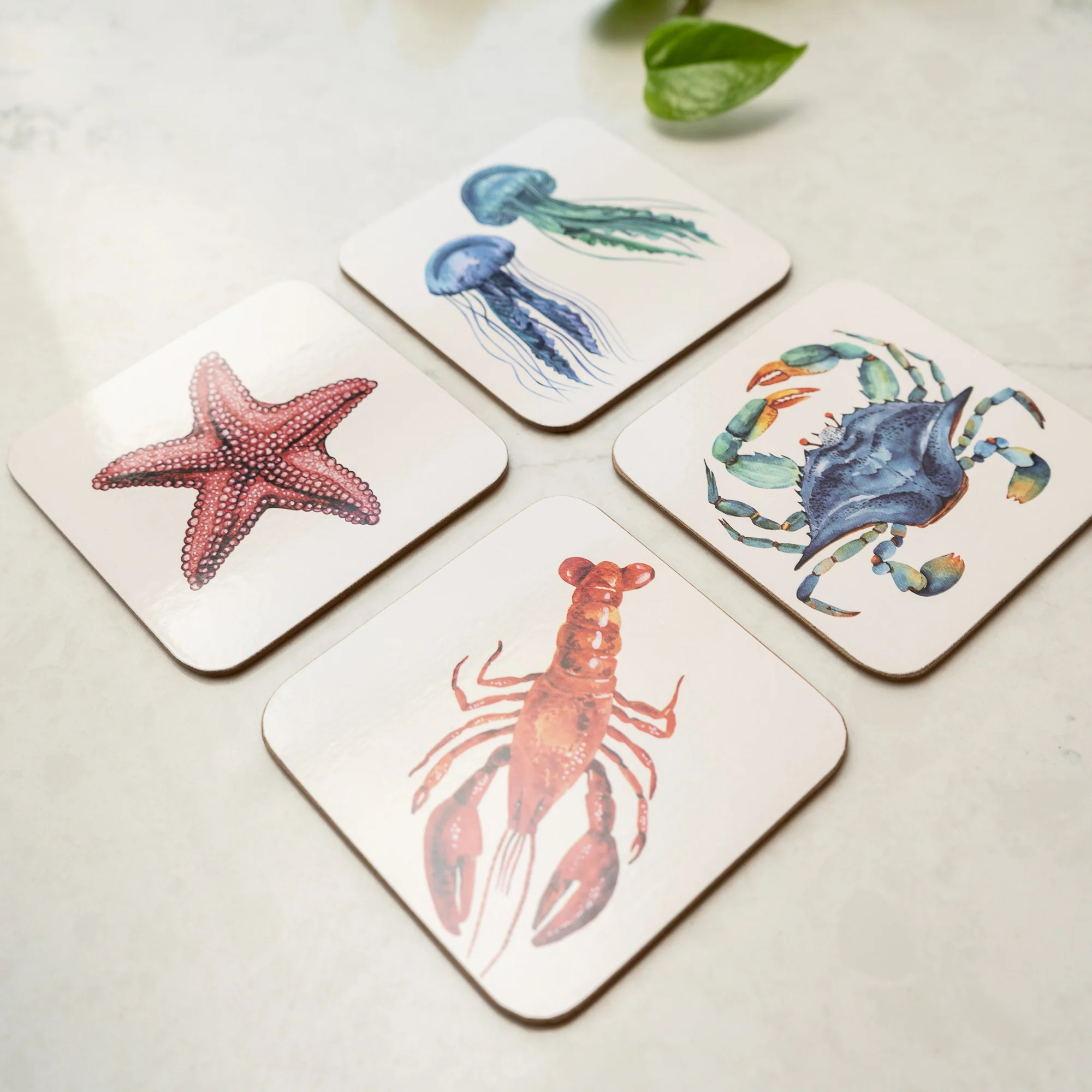 Set of 4 Sea Creature Coasters