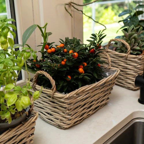 Set of Three Wicker Baskets with Liners & Handles - Image 2