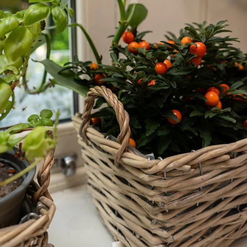 Set of Three Wicker Baskets with Liners & Handles - Image 4
