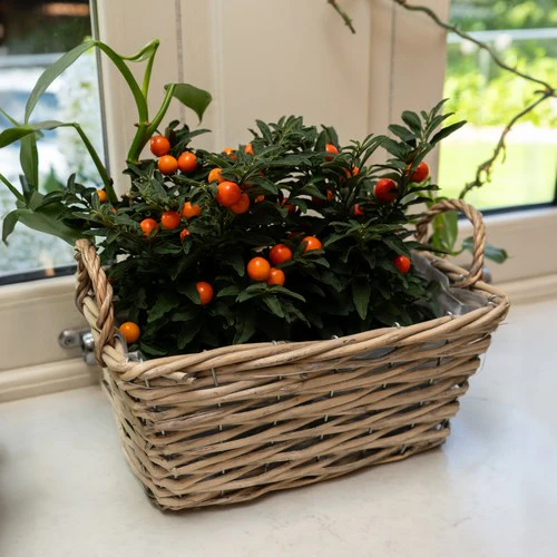 Set of Three Wicker Baskets with Liners & Handles - Image 5