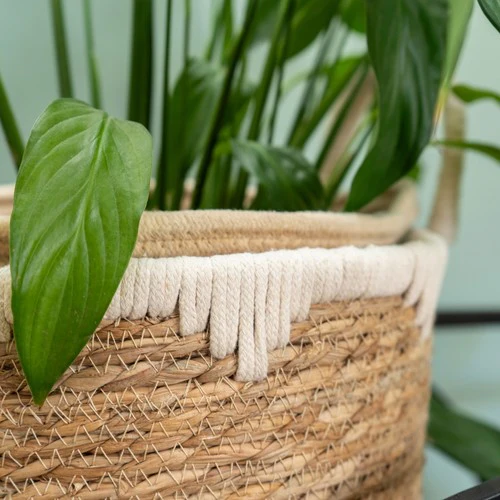 Set of Two Straw Storage Baskets with Handles - Image 2