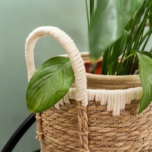 Set of Two Straw Storage Baskets with Handles - Image 3