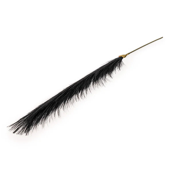 Single Black Likelike Pampas Grass - Image 2