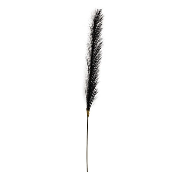 Single Black Likelike Pampas Grass - Image 3