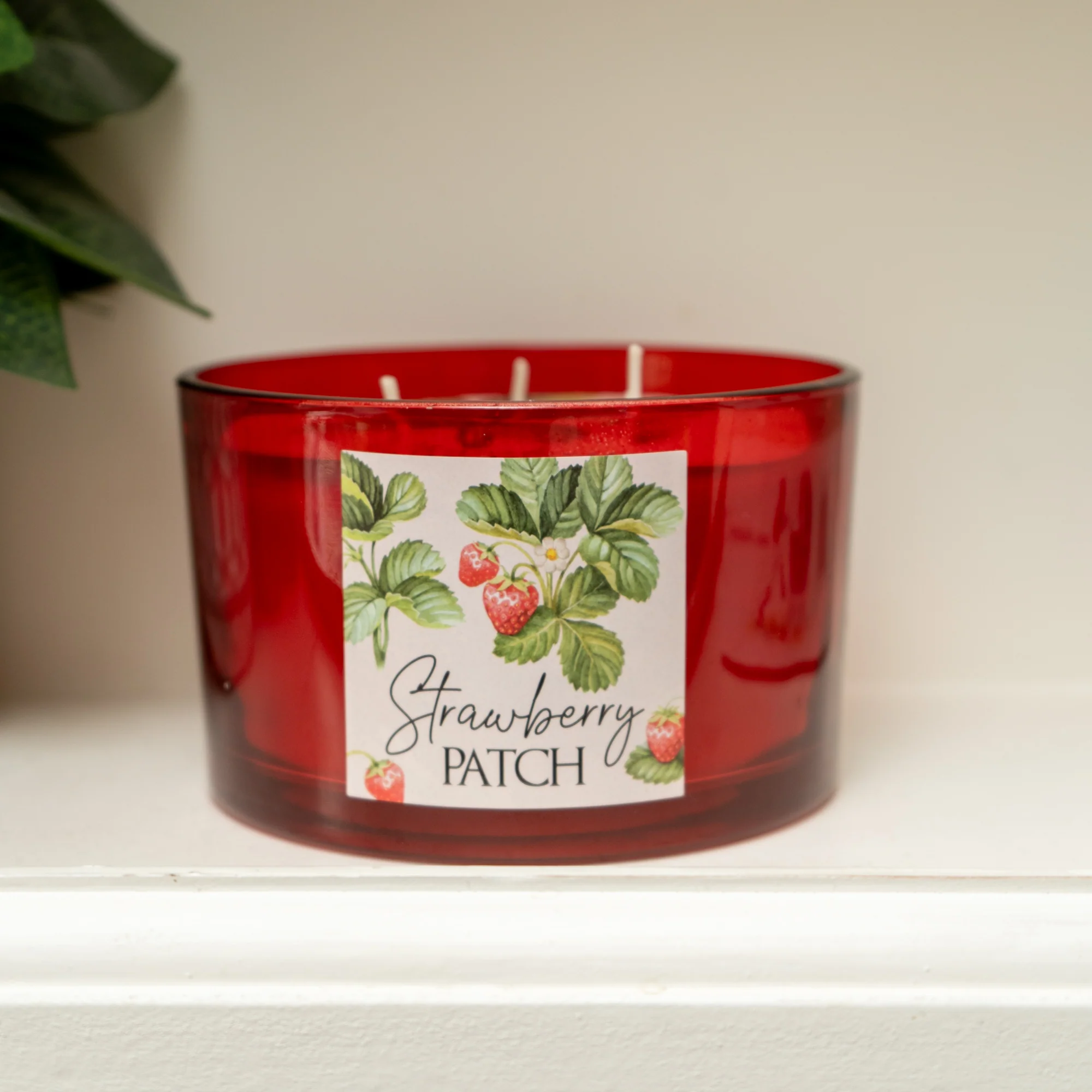 Strawberry Patch Candle - 5% Alpine Wild Strawberry Scent
