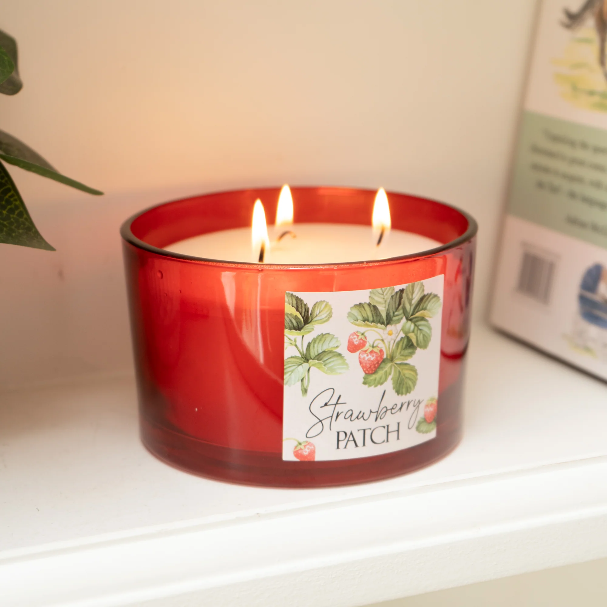 Strawberry Patch Candle - 5% Alpine Wild Strawberry Scent - Image 2
