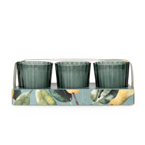 Pear Tree & Bay Leaf Votive Candle Set - Image 3